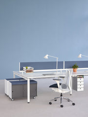 Herman Miller - Sayl Chair Polished Aluminum Base with Studio White Y-Tower - Task Chair 