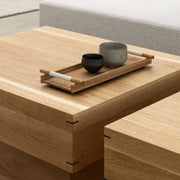 Karimoku Case Study - KCS Coffee Table N-CT02 - Coffee Table 