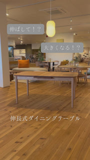NAGANO Extension Table DT652