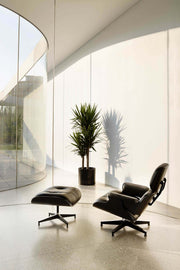 Herman Miller - Eames Lounge Chair and Ottoman Ebony - Armchair 