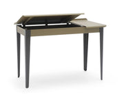 TOLIX - Flap Desk - Desk 