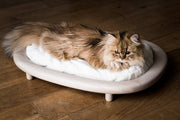 KARIMOKU CAT - KARIMOKU CAT Bed - Accessories 