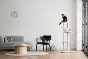 KARIMOKU CAT - KARIMOKU CAT Tree - Accessories 