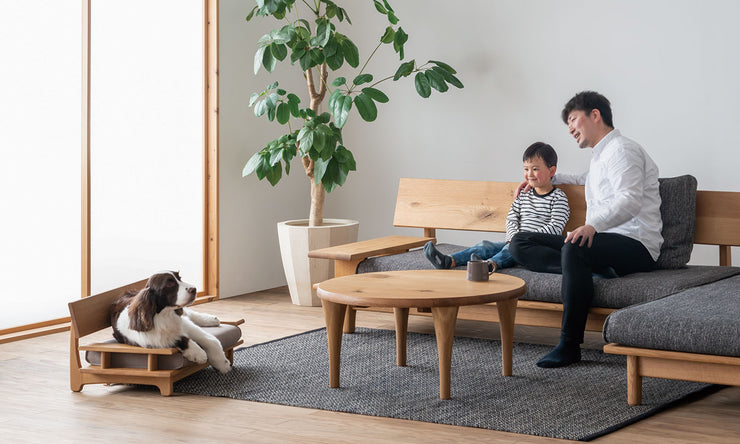 HIDA - MORI Cat House - Cabinet 