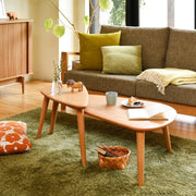 Nagano Interior - SOLID Living Table LT017 - Coffee Table 