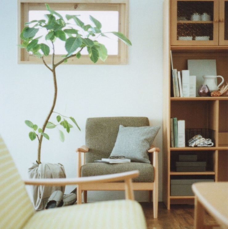 Kitono by Karimoku - Kitono Sofa 2P - Sofa 