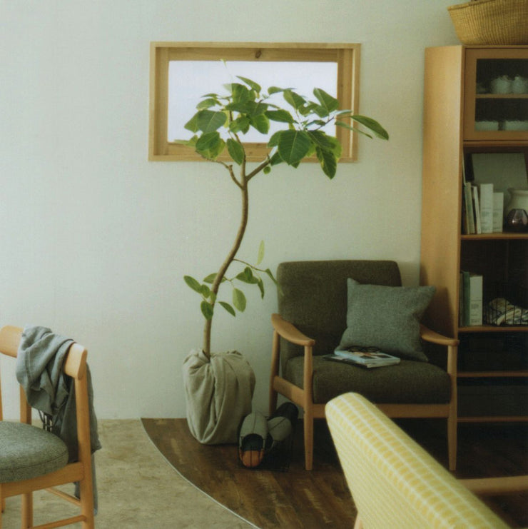 Kitono by Karimoku - Kitono Sofa 2.5P - Sofa 